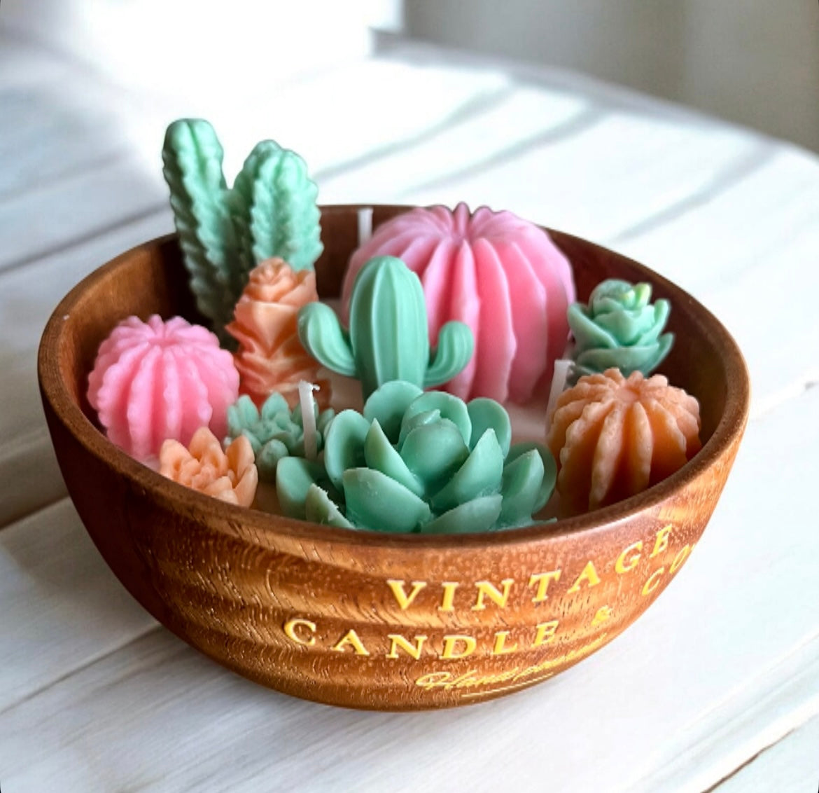 Summer cactus field