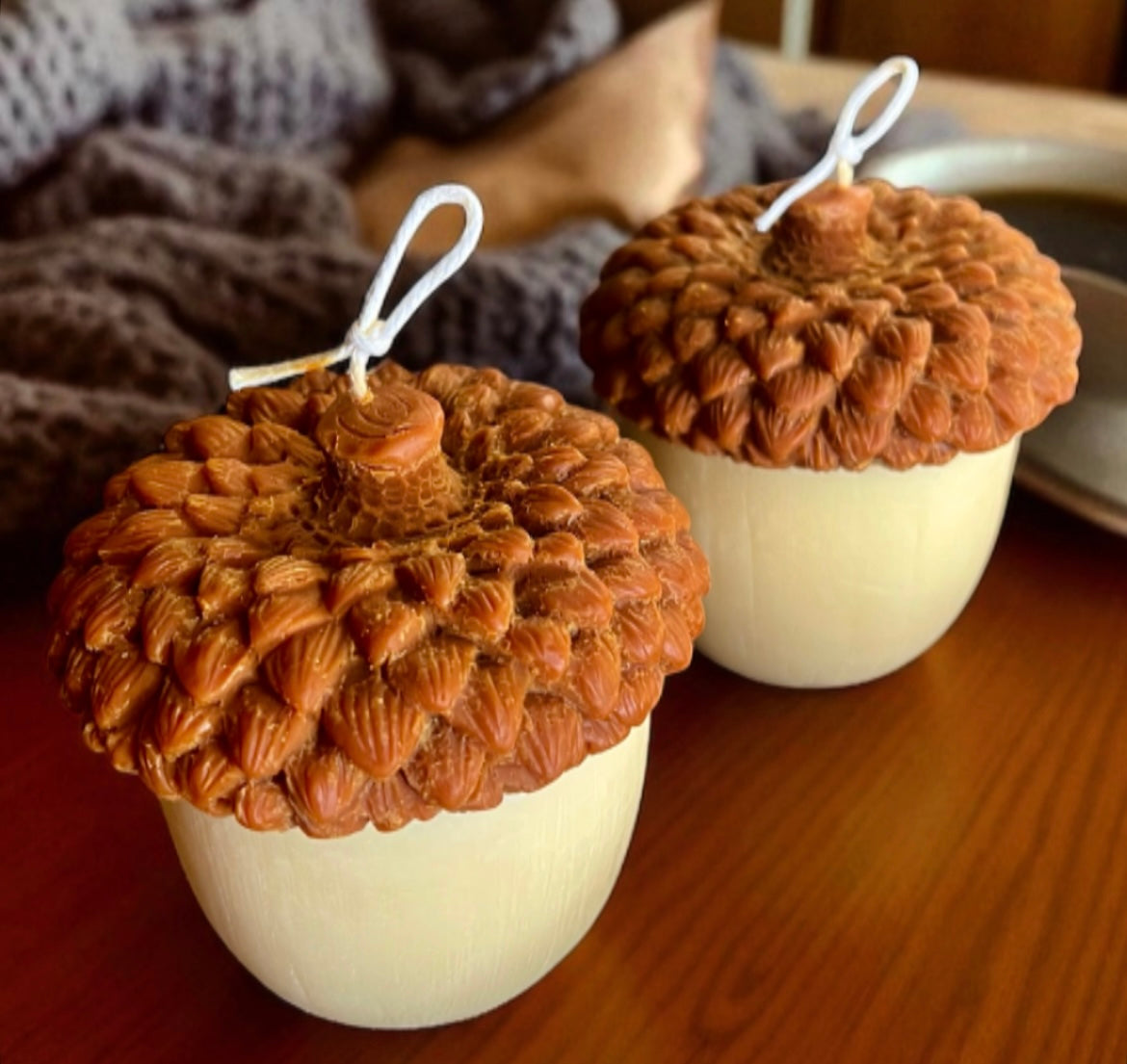 Acorn