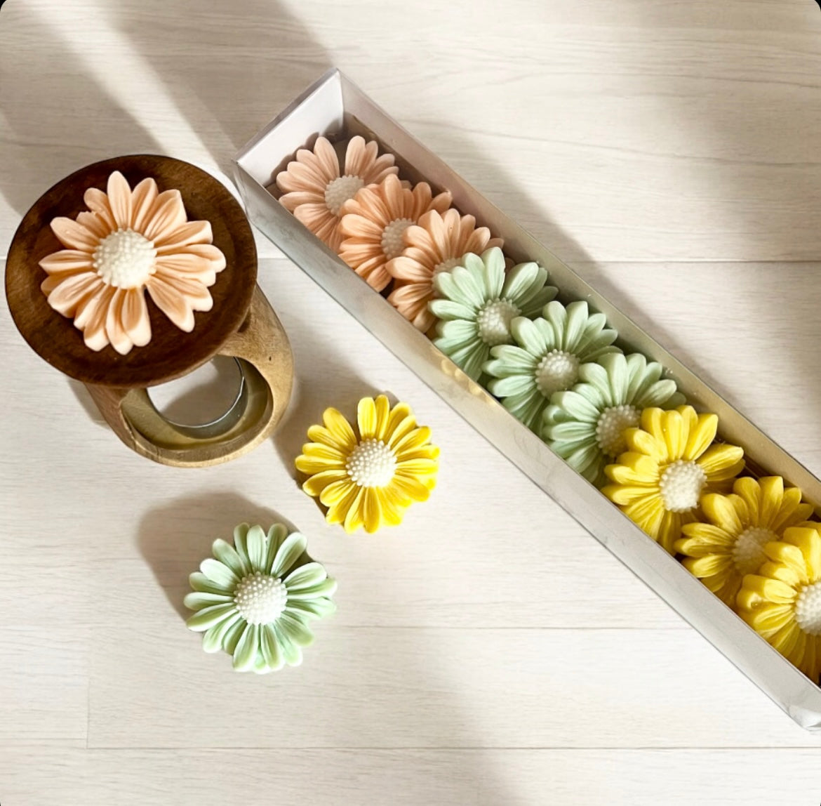 Daisy Wax Melts set