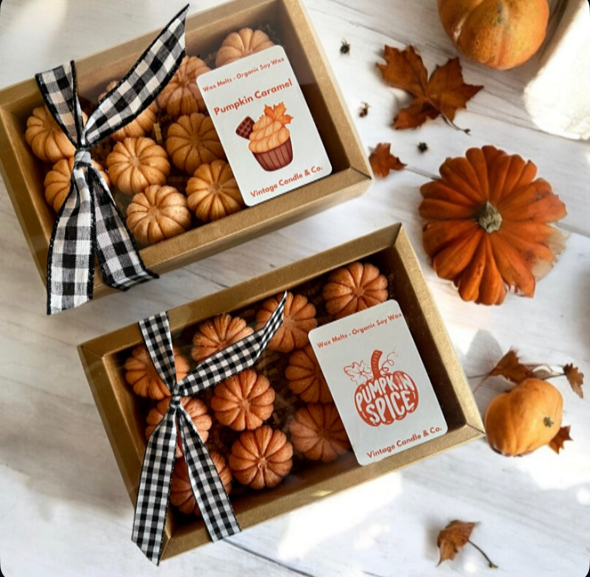 Pumpkins wax melts set