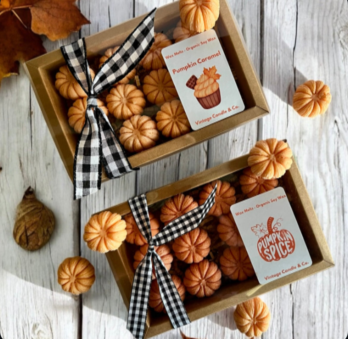 Pumpkins wax melts set