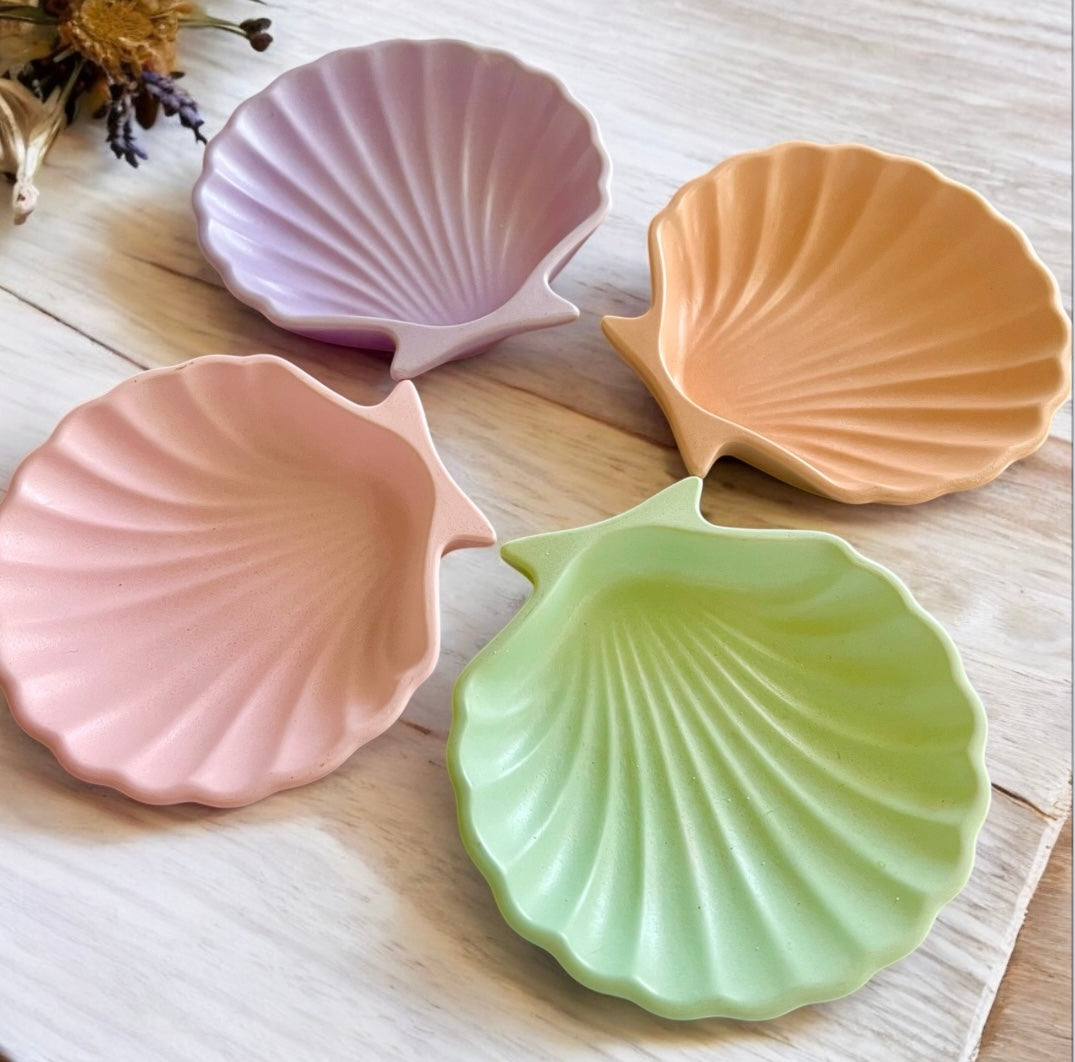 Coastal shell tray