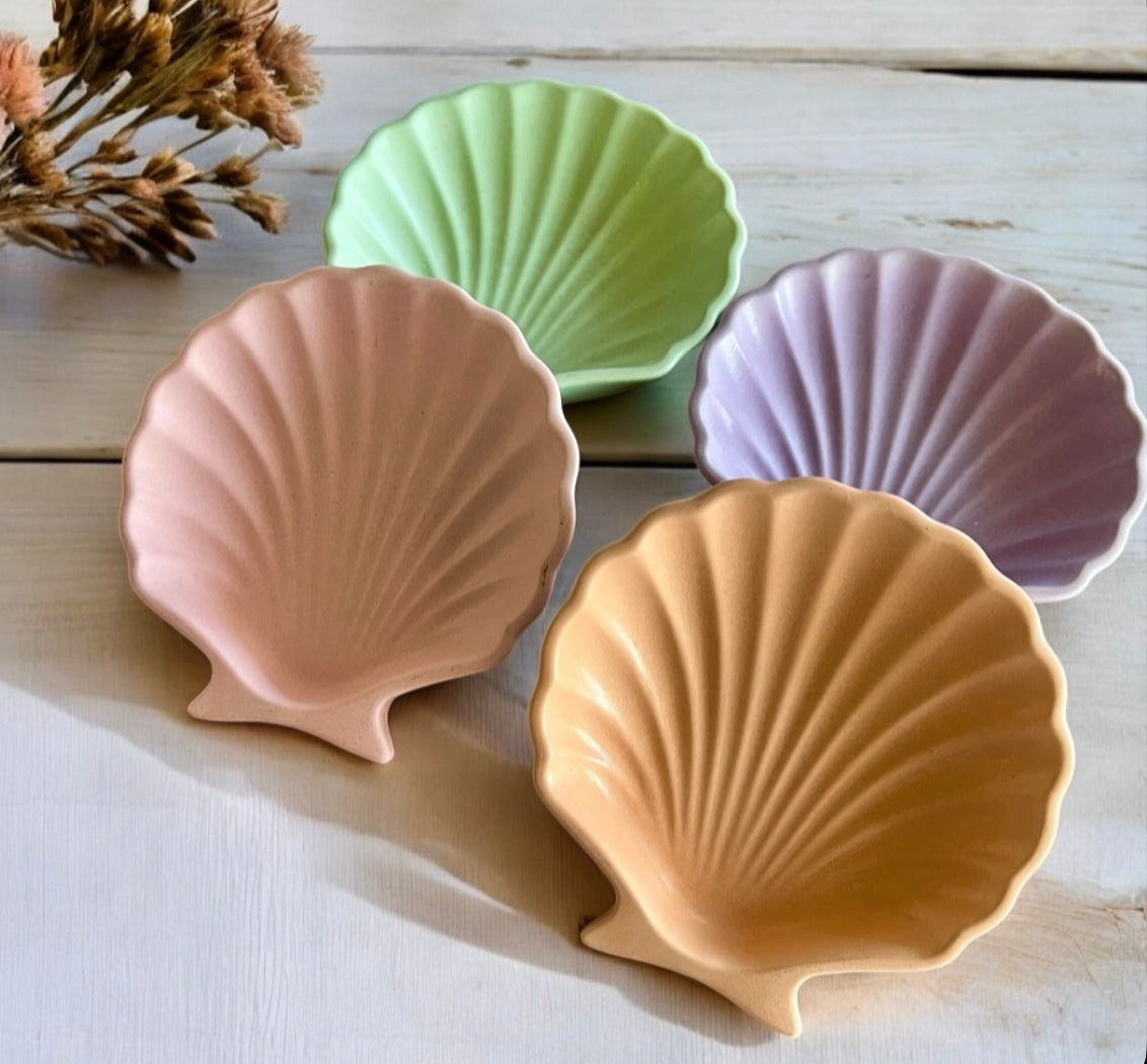 Coastal shell tray
