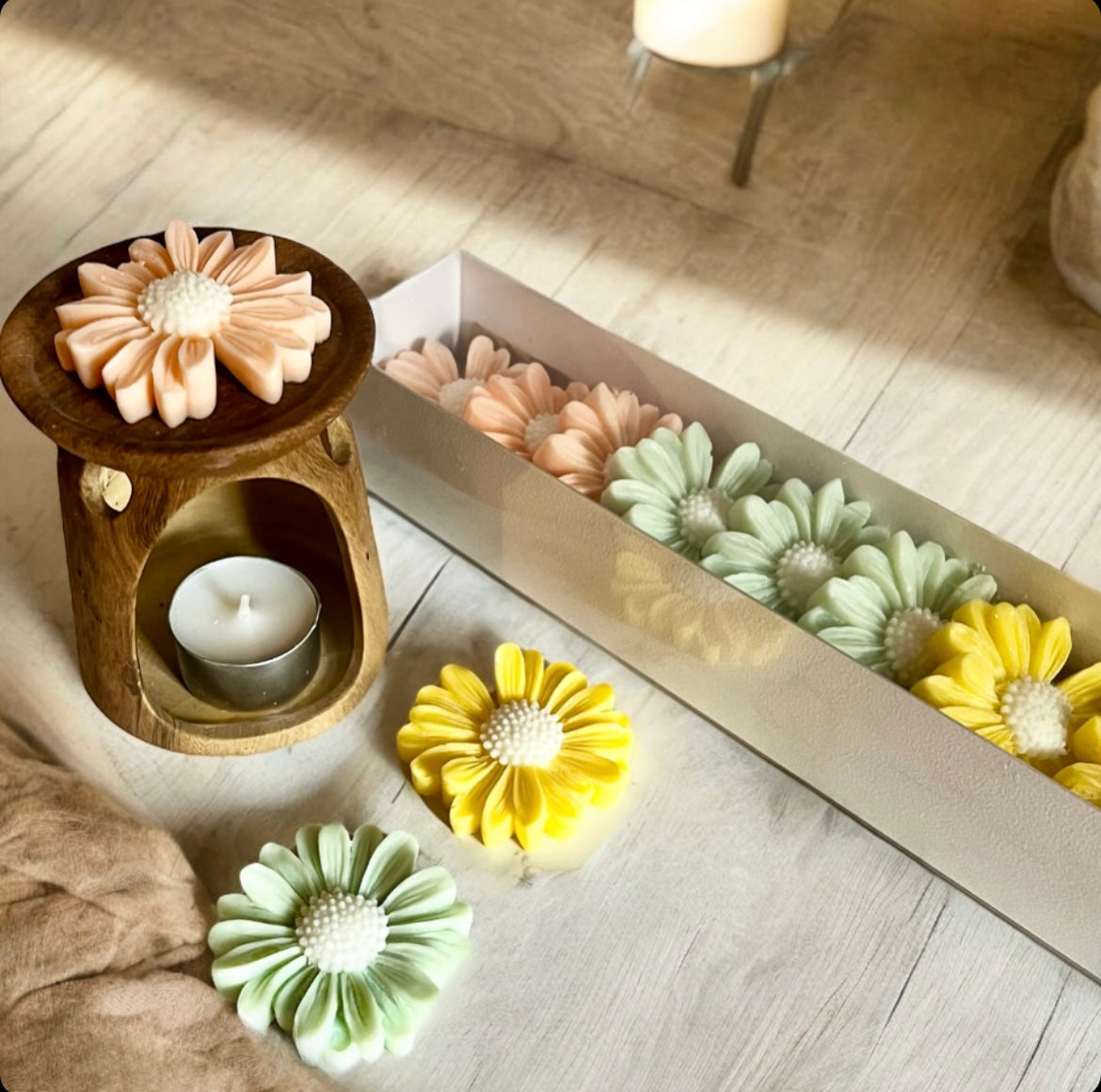 Daisy Wax Melts set