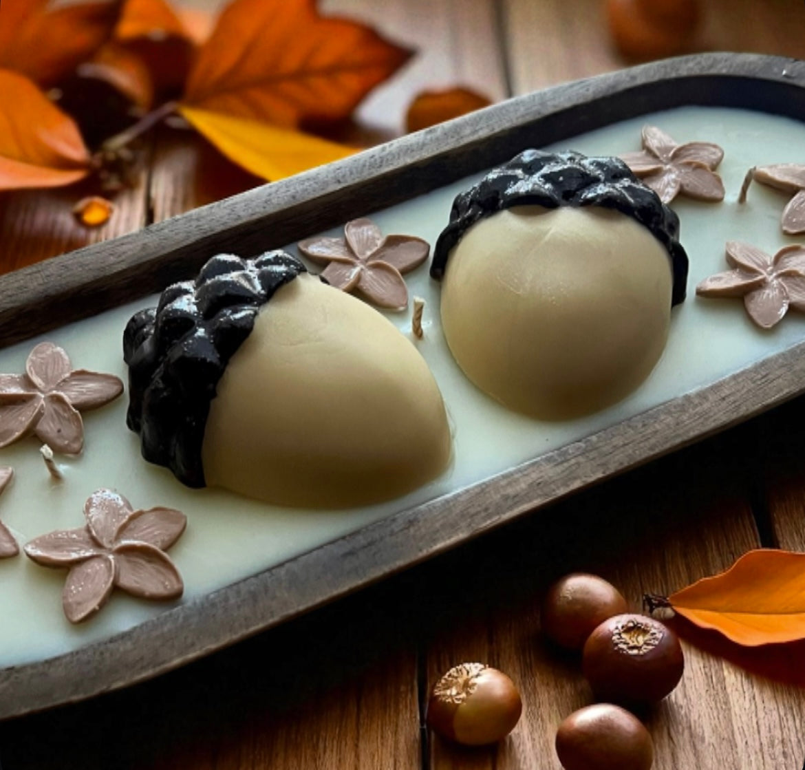 Acorns fall vibes