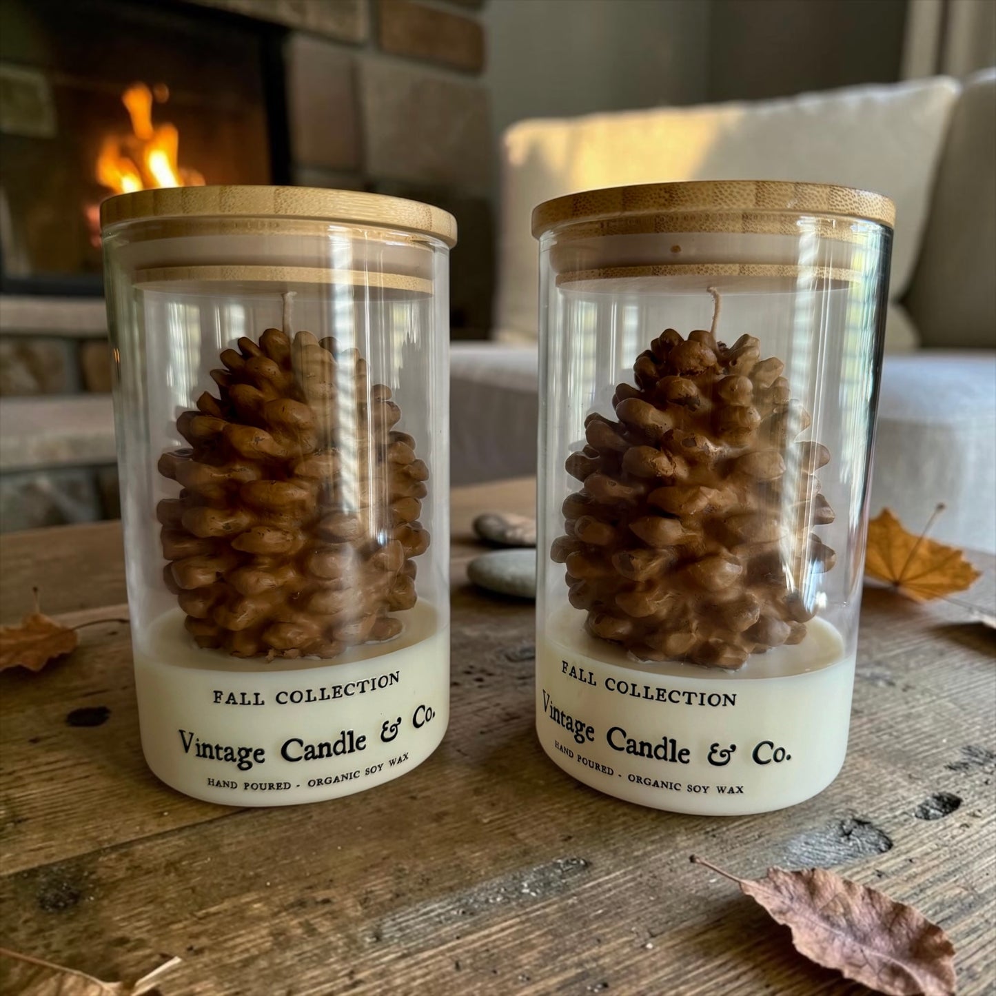Pinecone in a jar