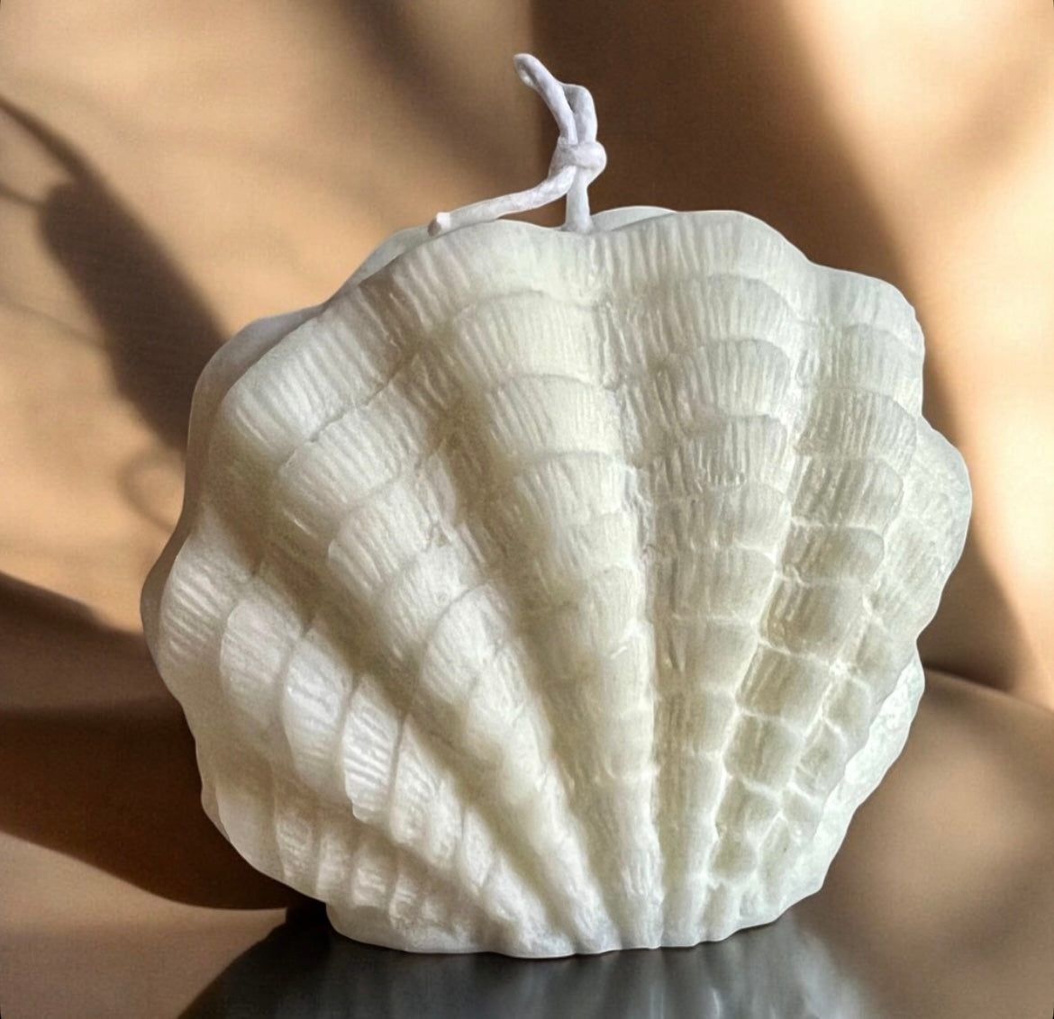 Wavy Shell