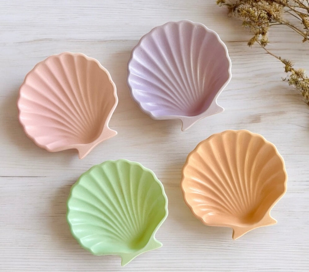 Coastal shell tray