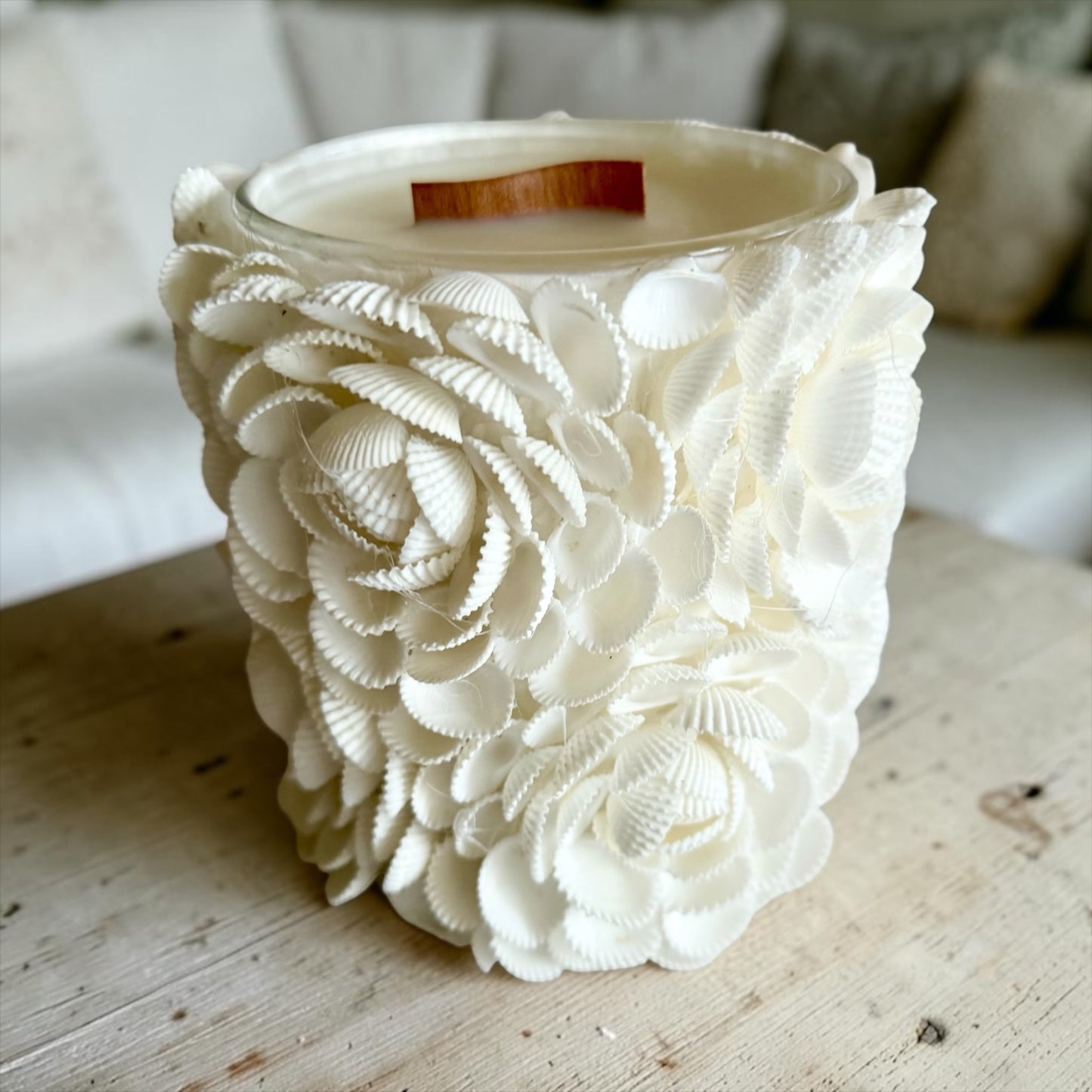Shells and roses