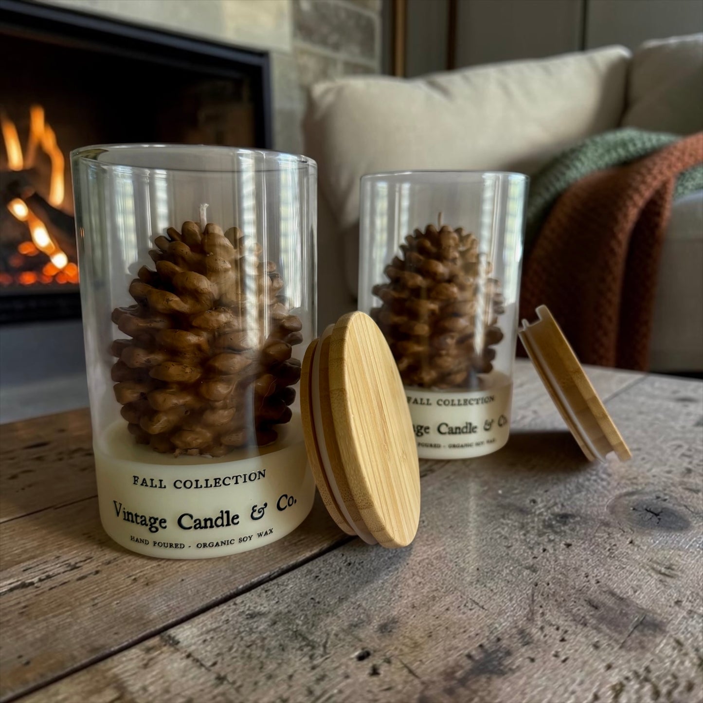 Pinecone in a jar