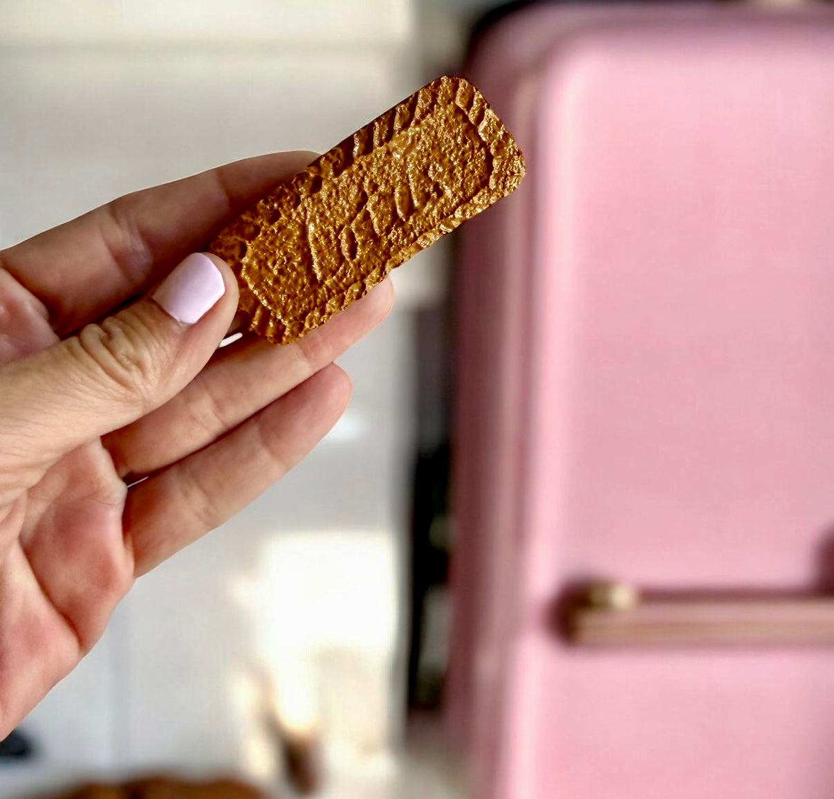 3 cookies set magnets