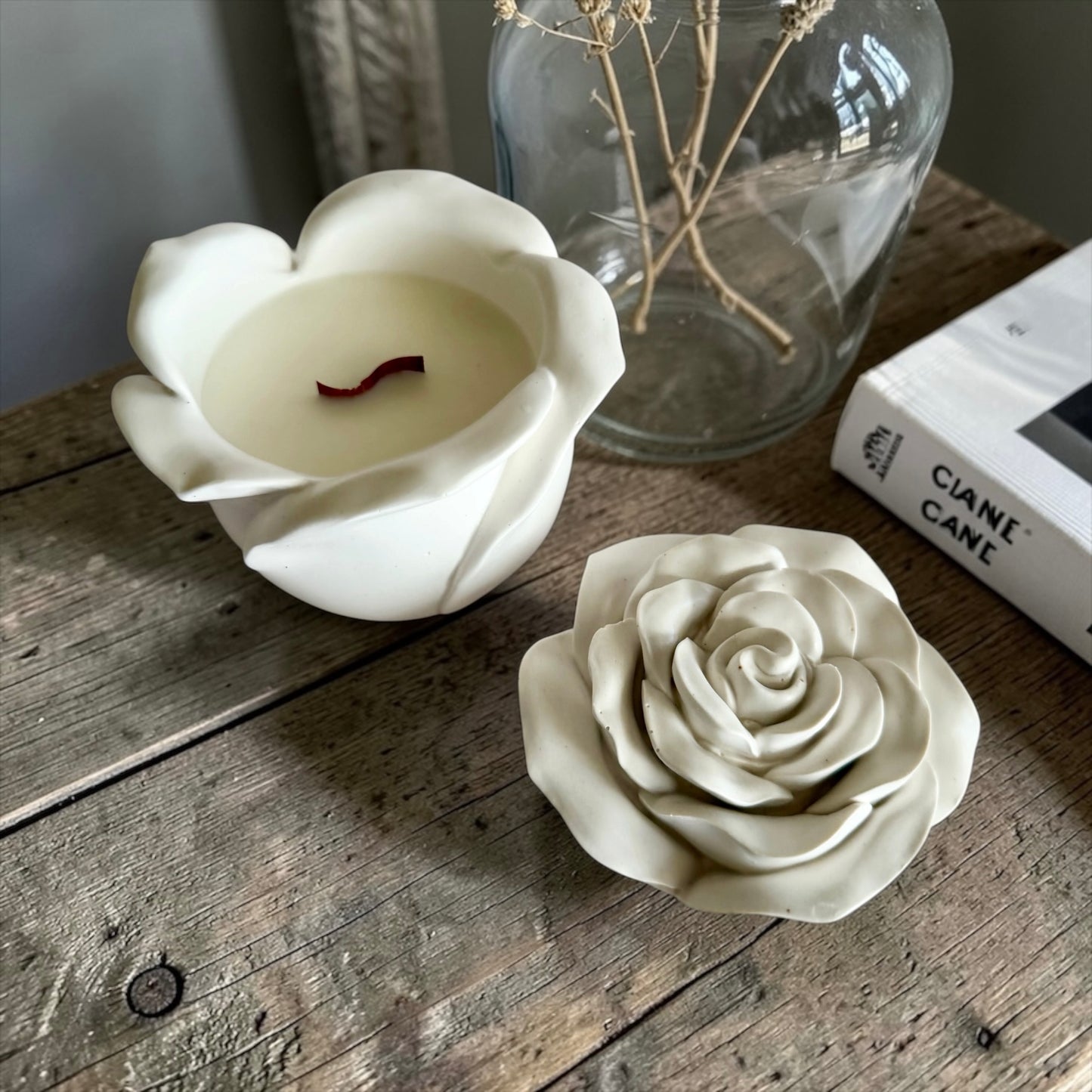 Blooming rose