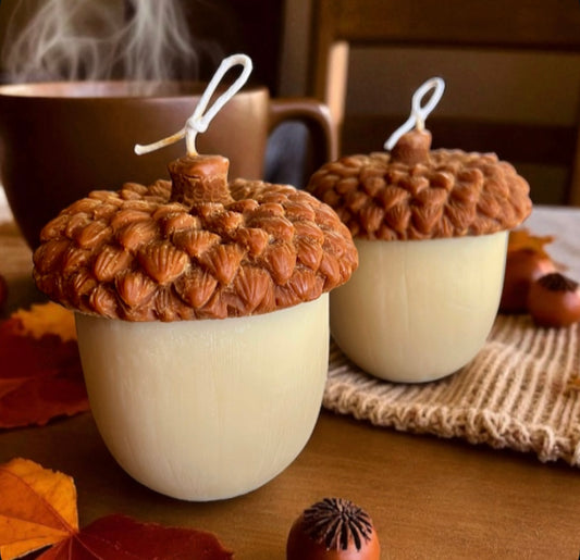Acorn