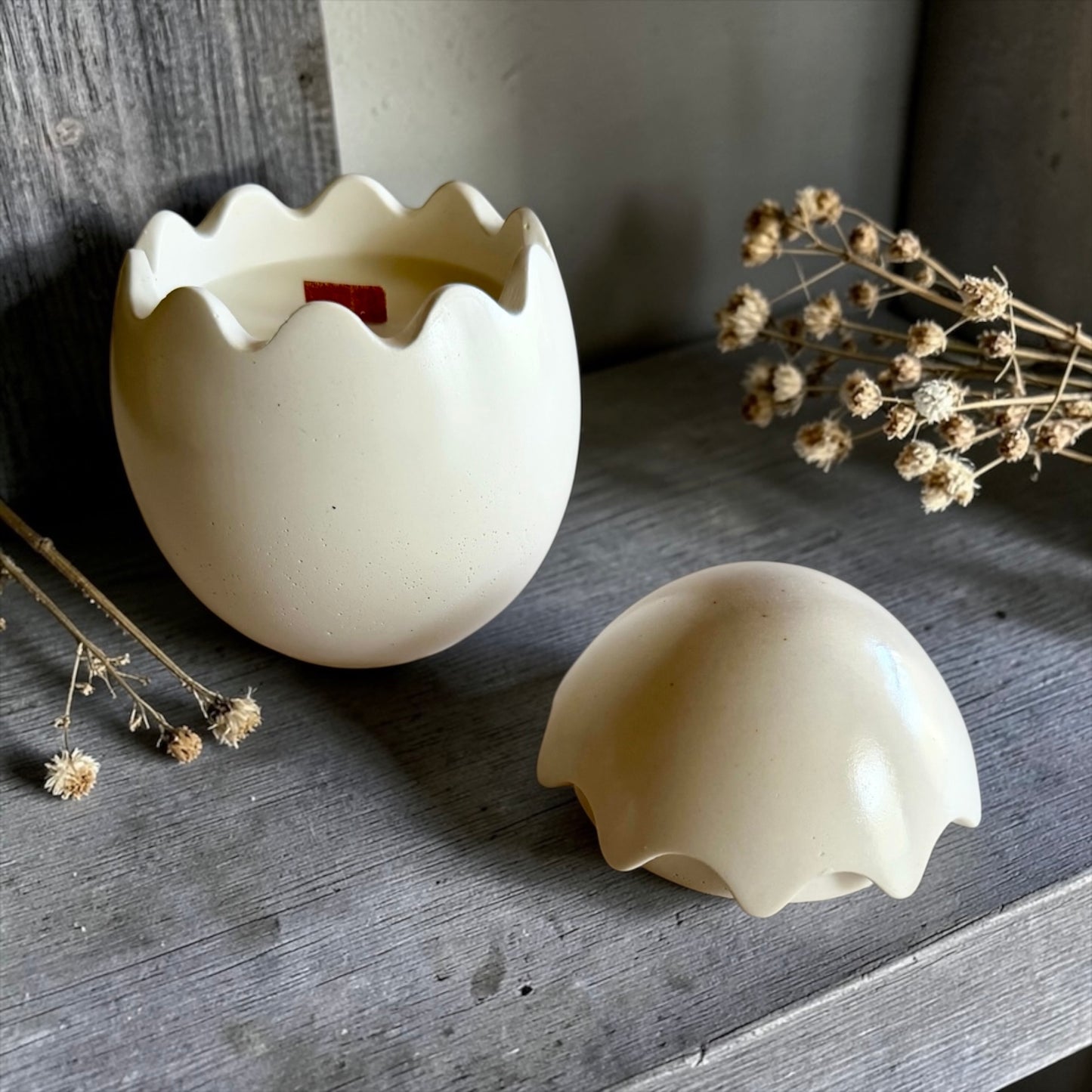 Cracked Egg with lid