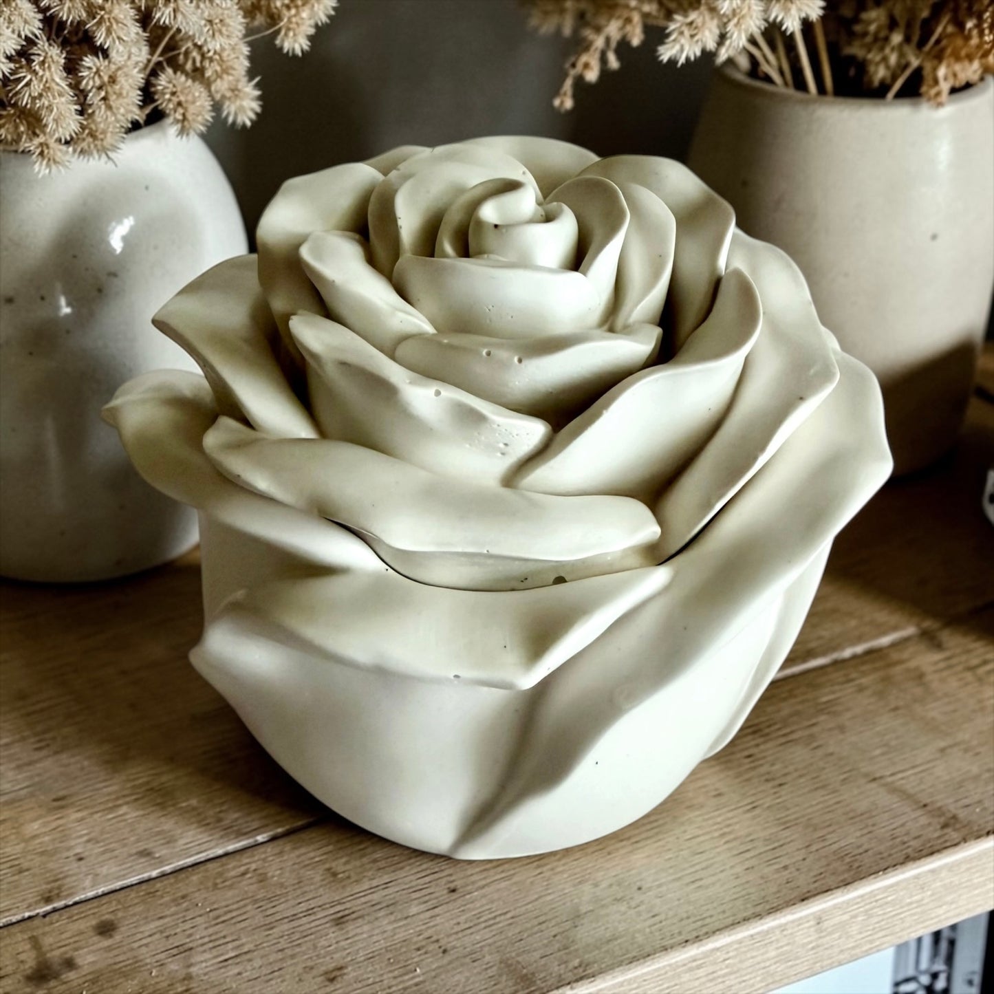 Blooming rose