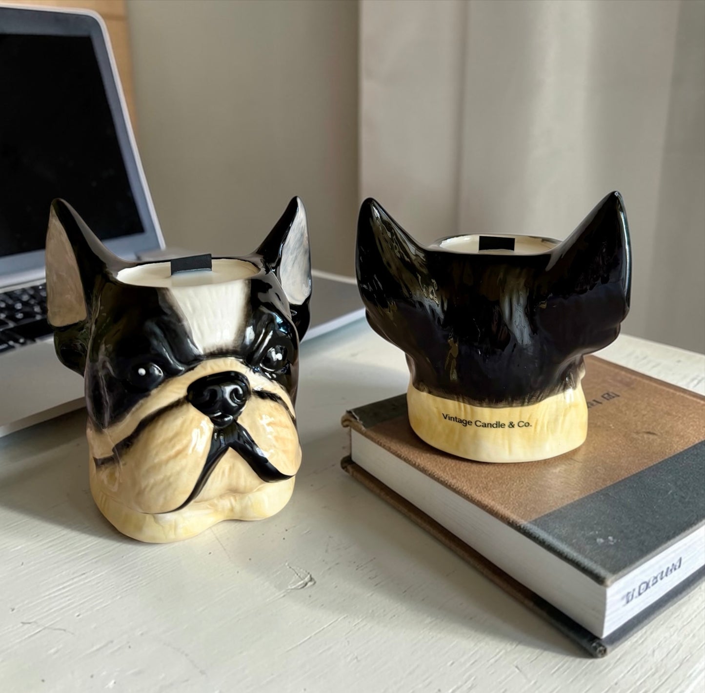 Frenchie love