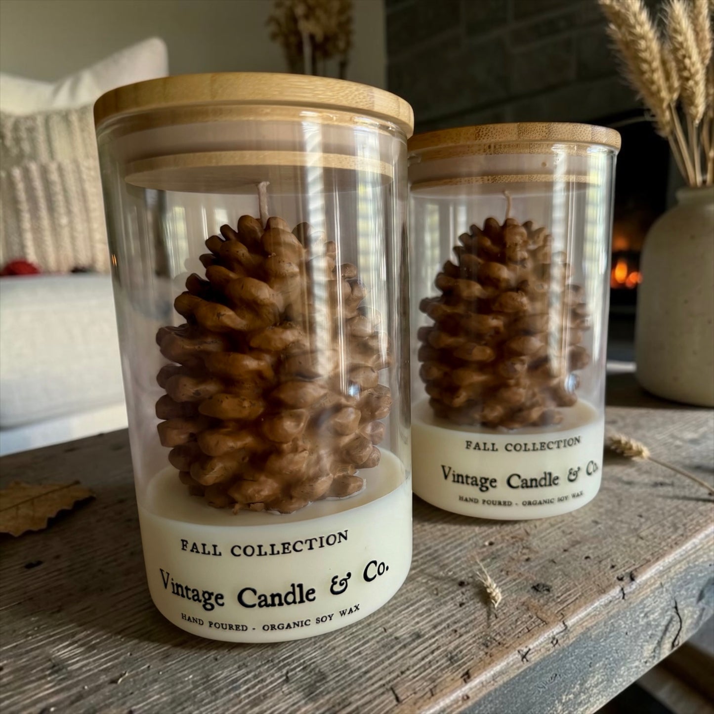 Pinecone in a jar