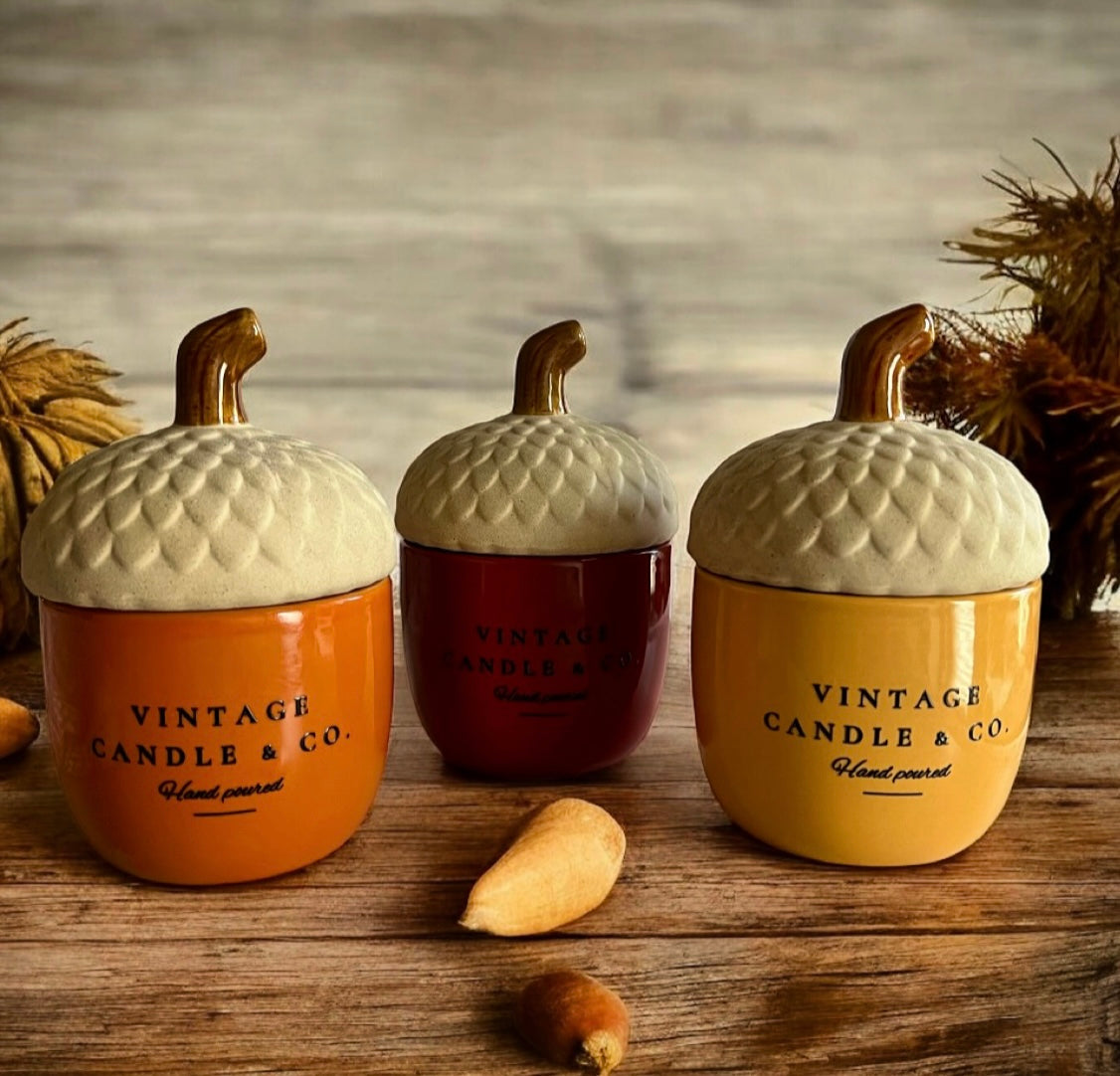 3 wicked acorn with lid