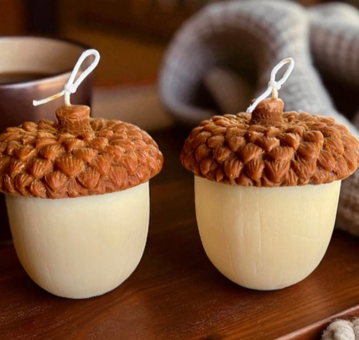 Acorn