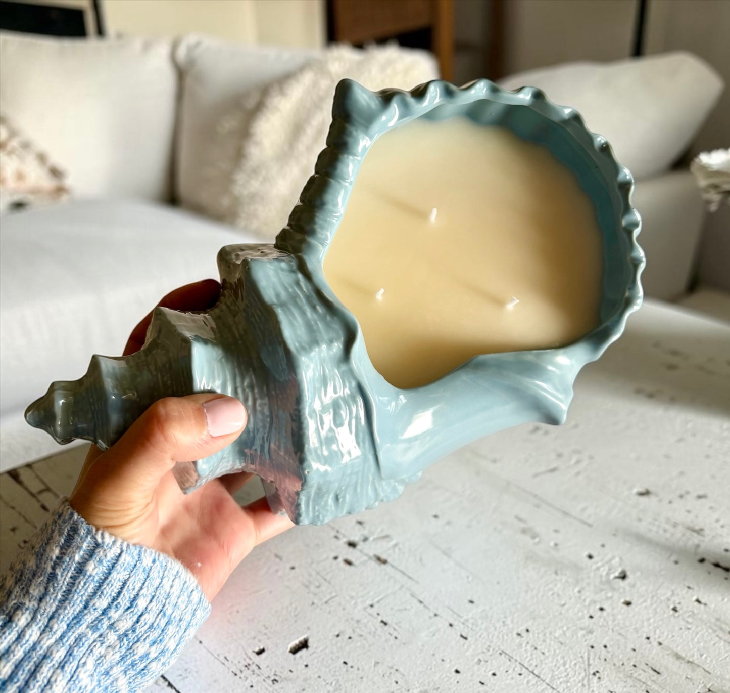 XL Coastal shell
