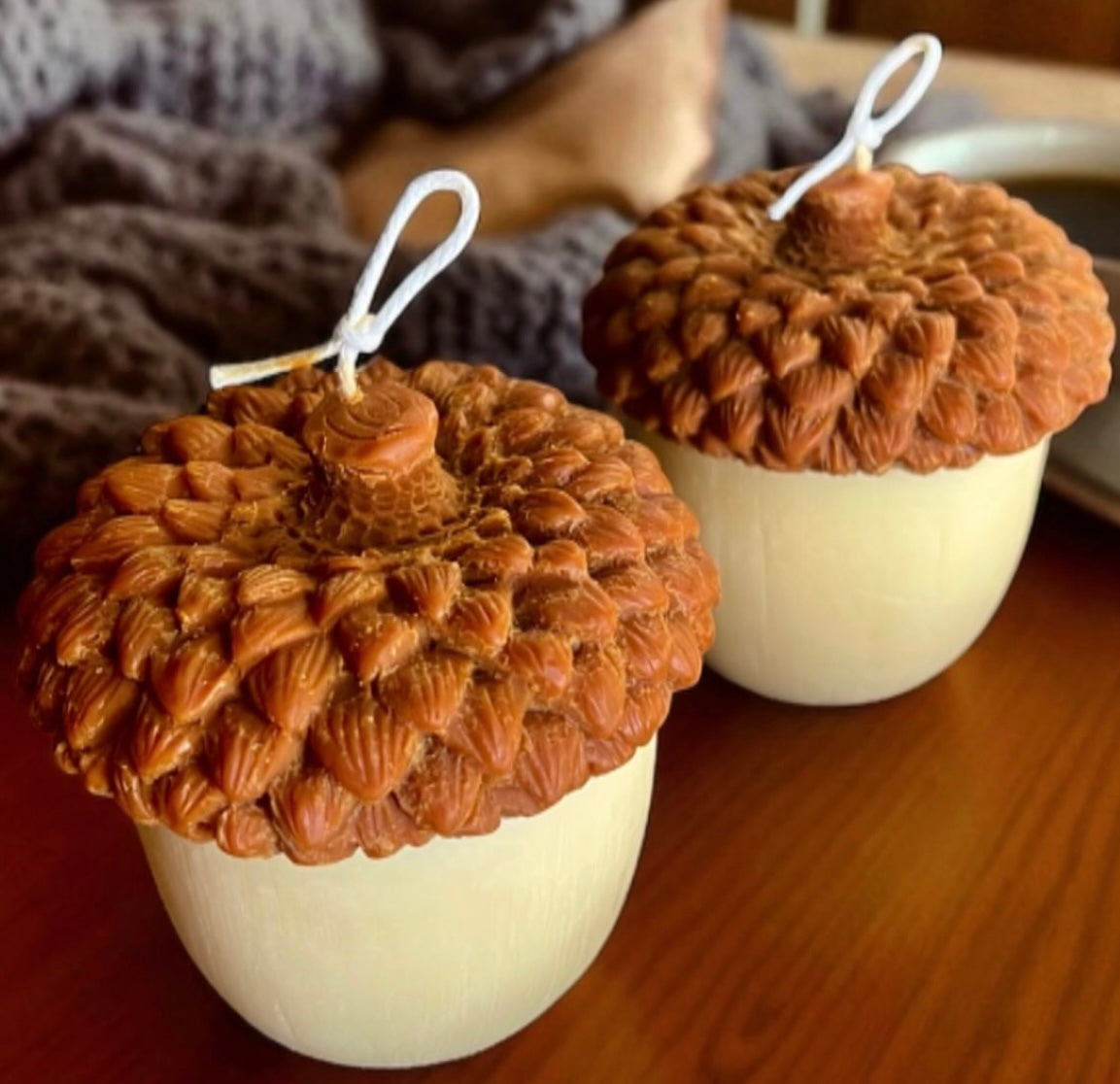 Acorn