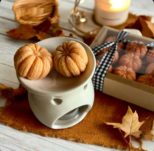 Pumpkins wax melts set