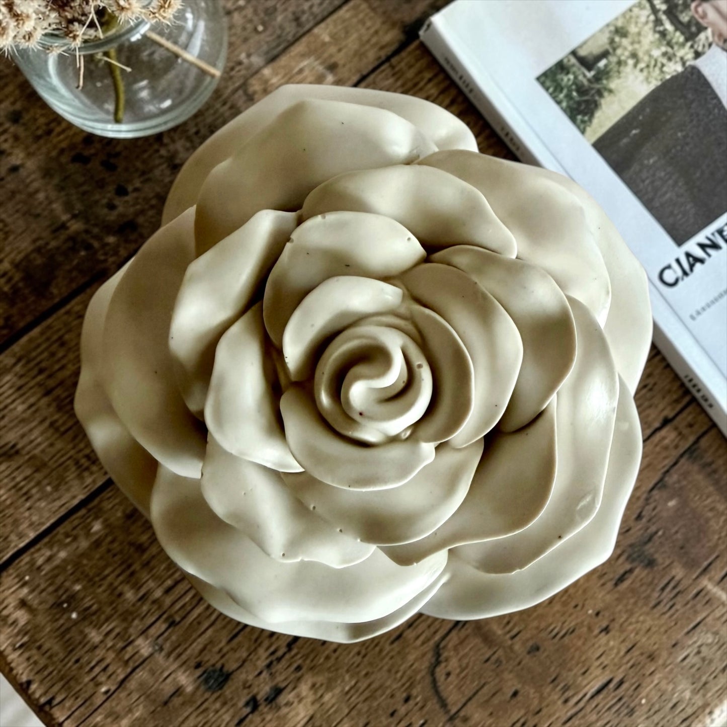 Blooming rose