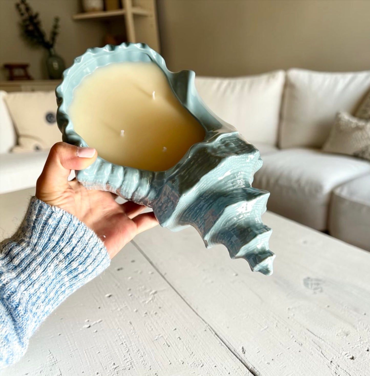 XL Coastal shell