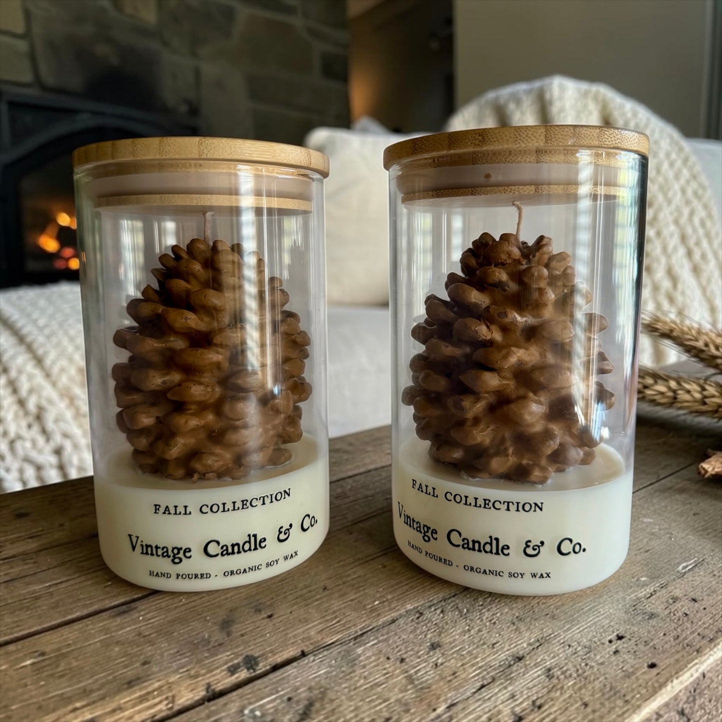 Pinecone in a jar
