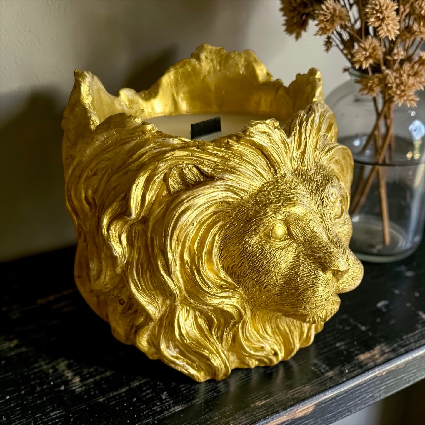 XXL Lion