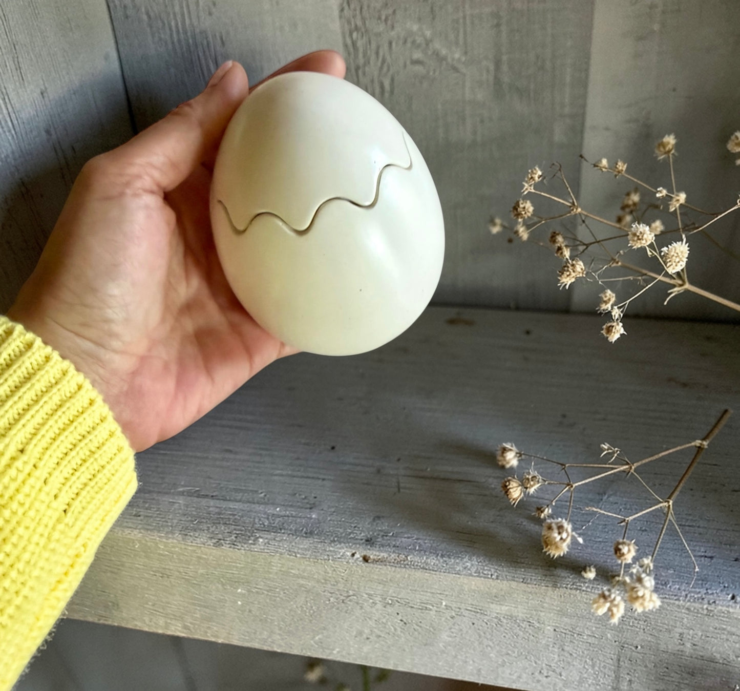 Cracked Egg with lid