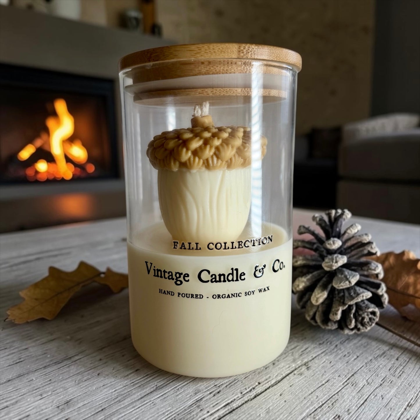 Acorn in a jar