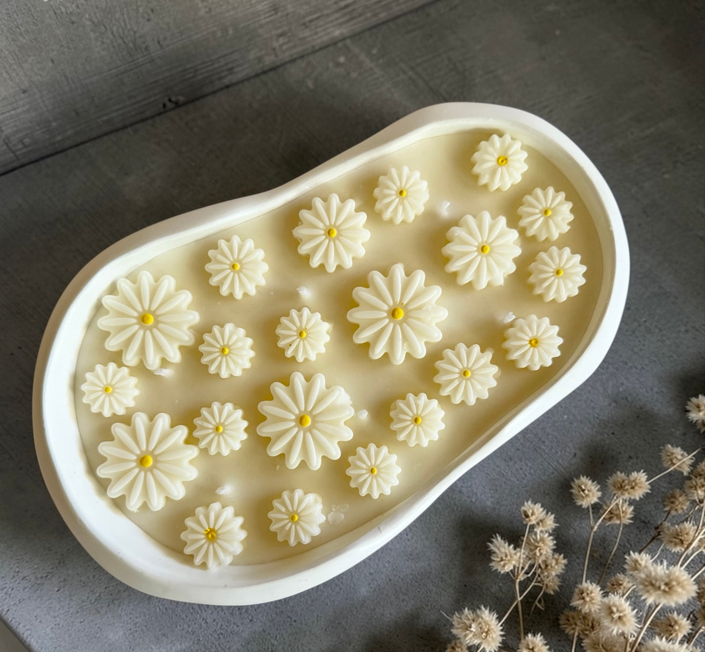 Daisies garden