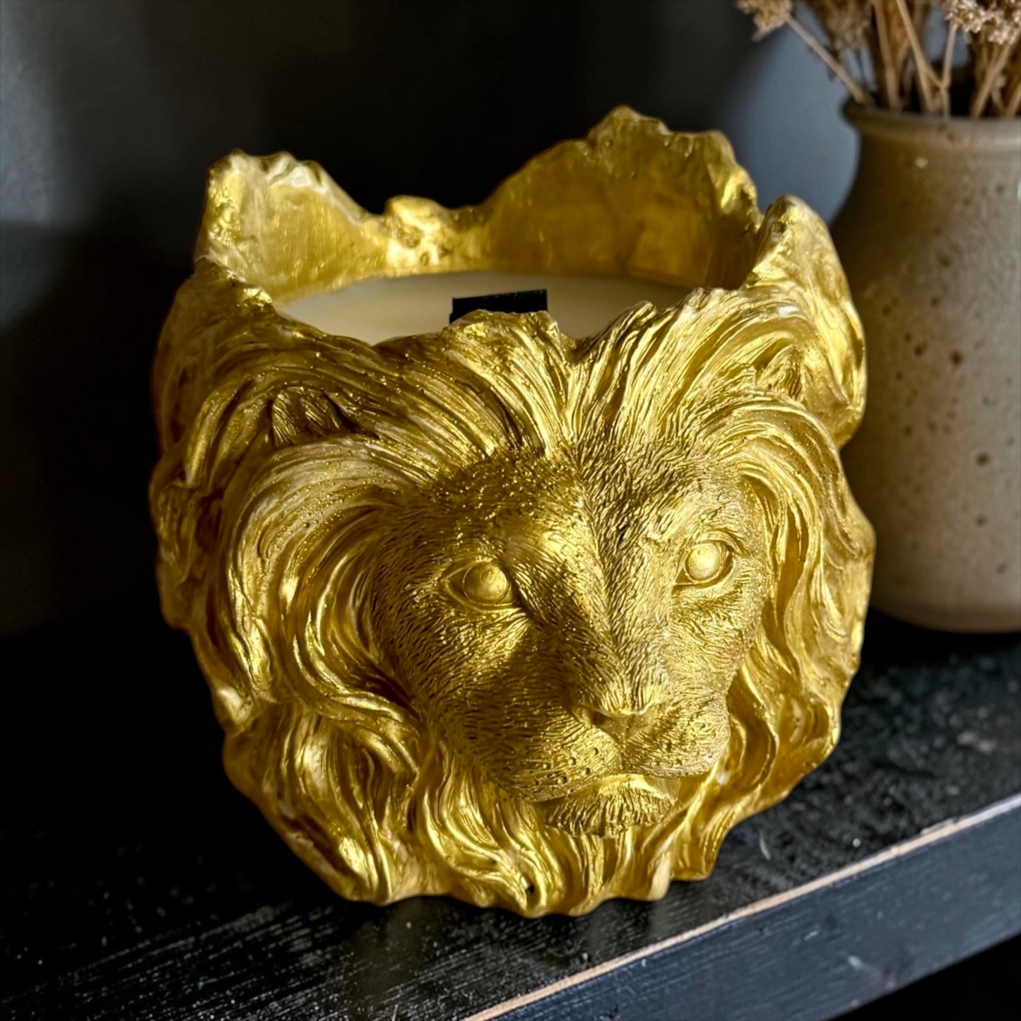XXL Lion