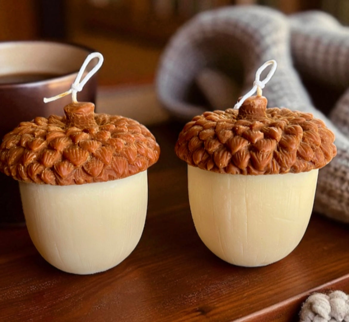 Acorn