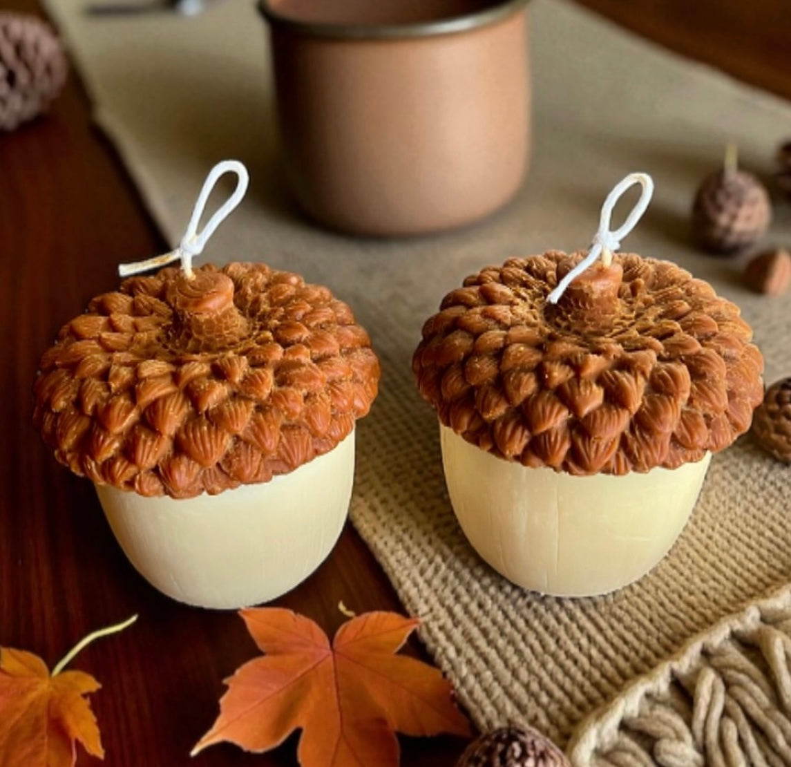 Acorn