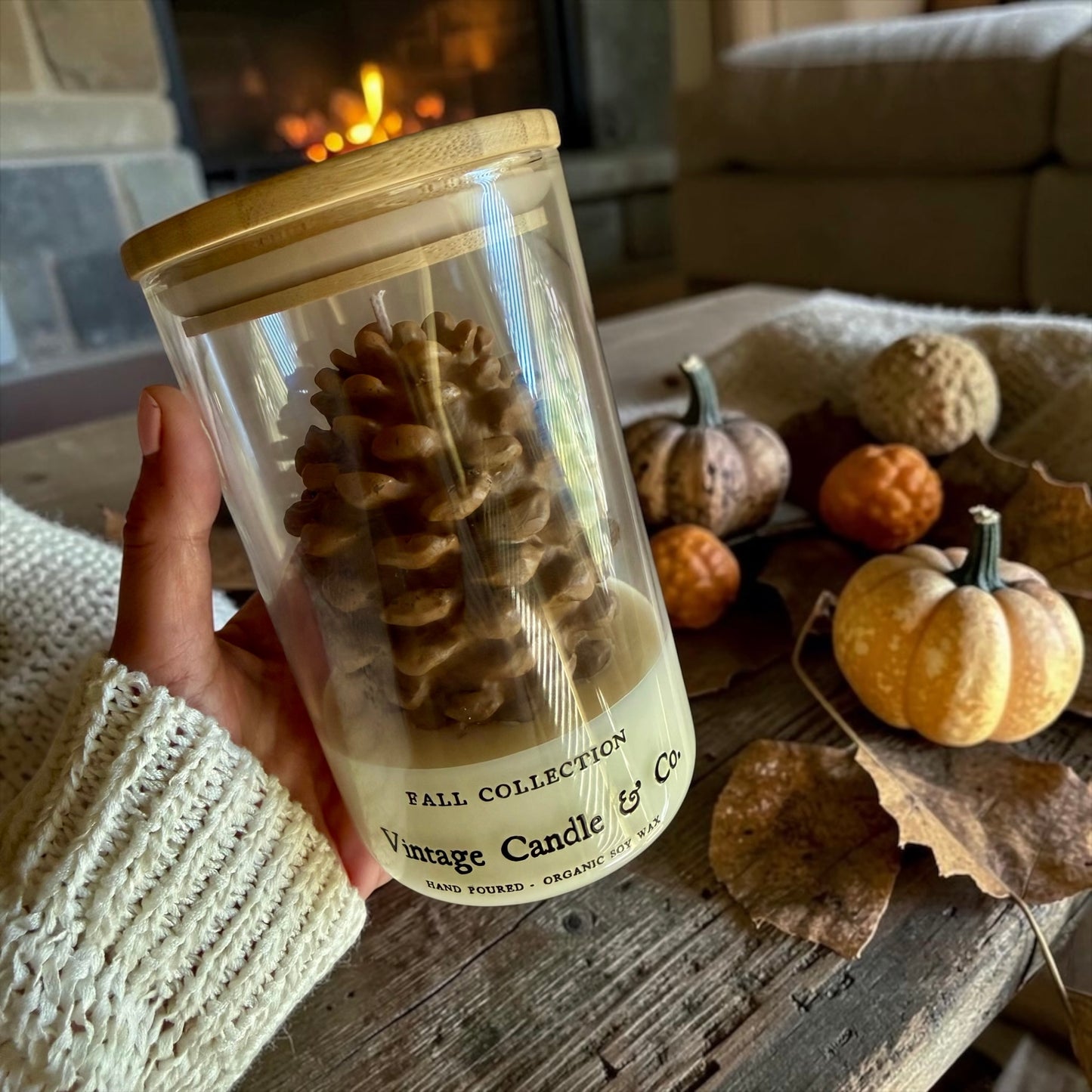 Pinecone in a jar