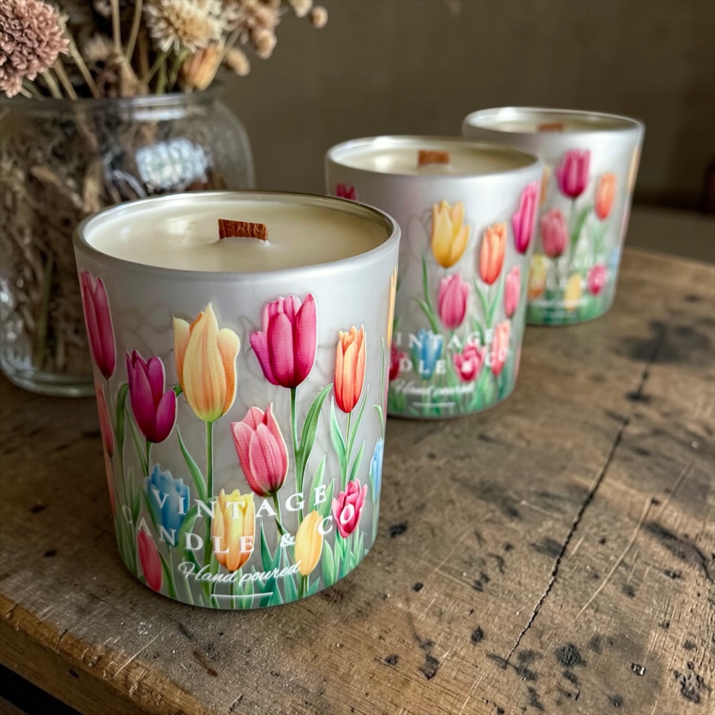 Tulips garden