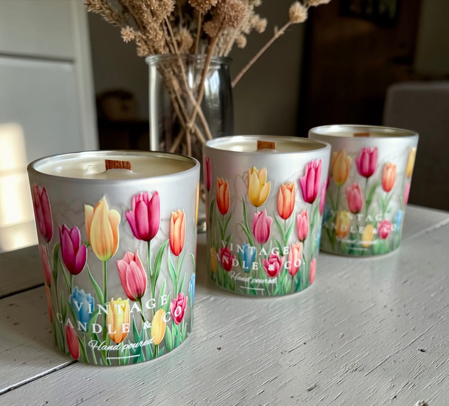 Tulips garden