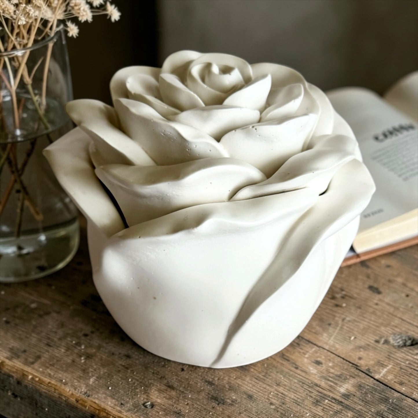 Blooming rose