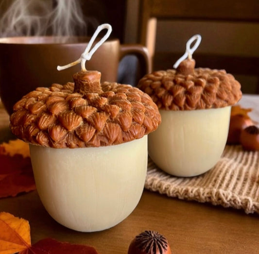 Acorn