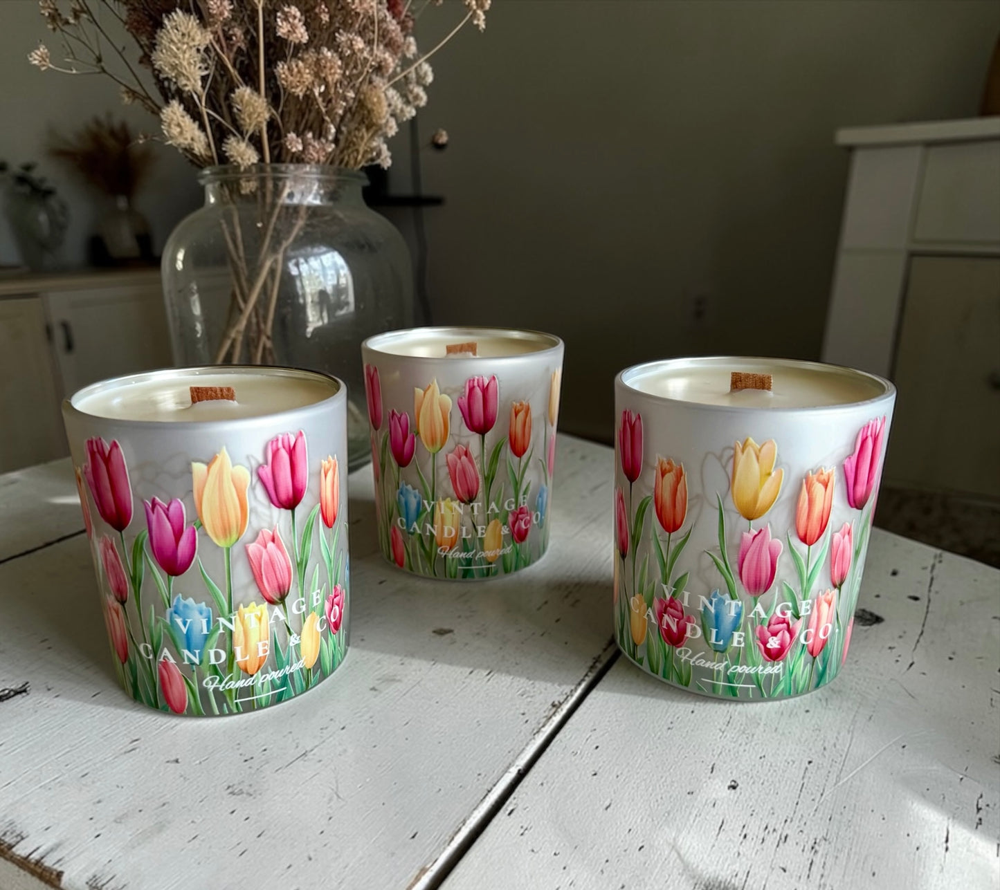 Tulips garden