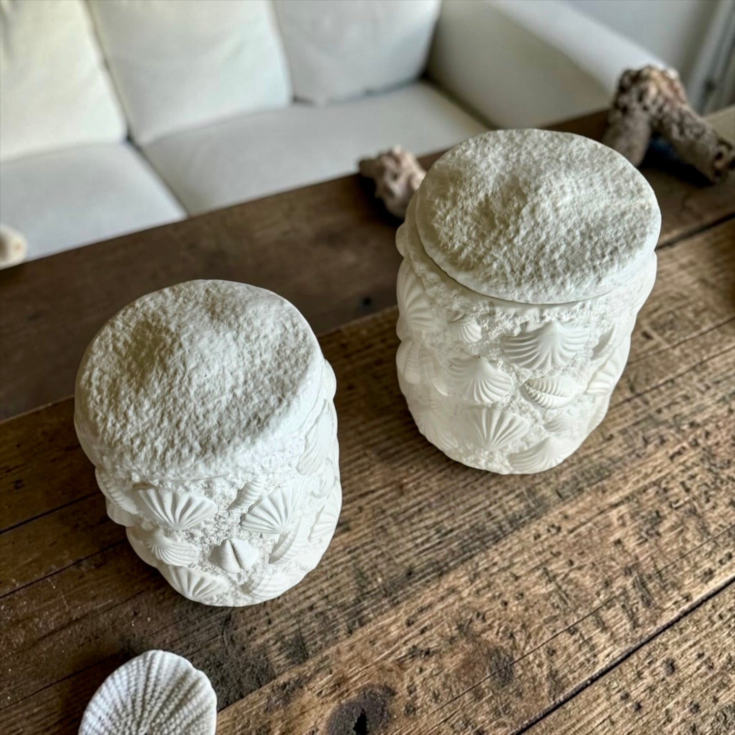 Shell vibes (large size)