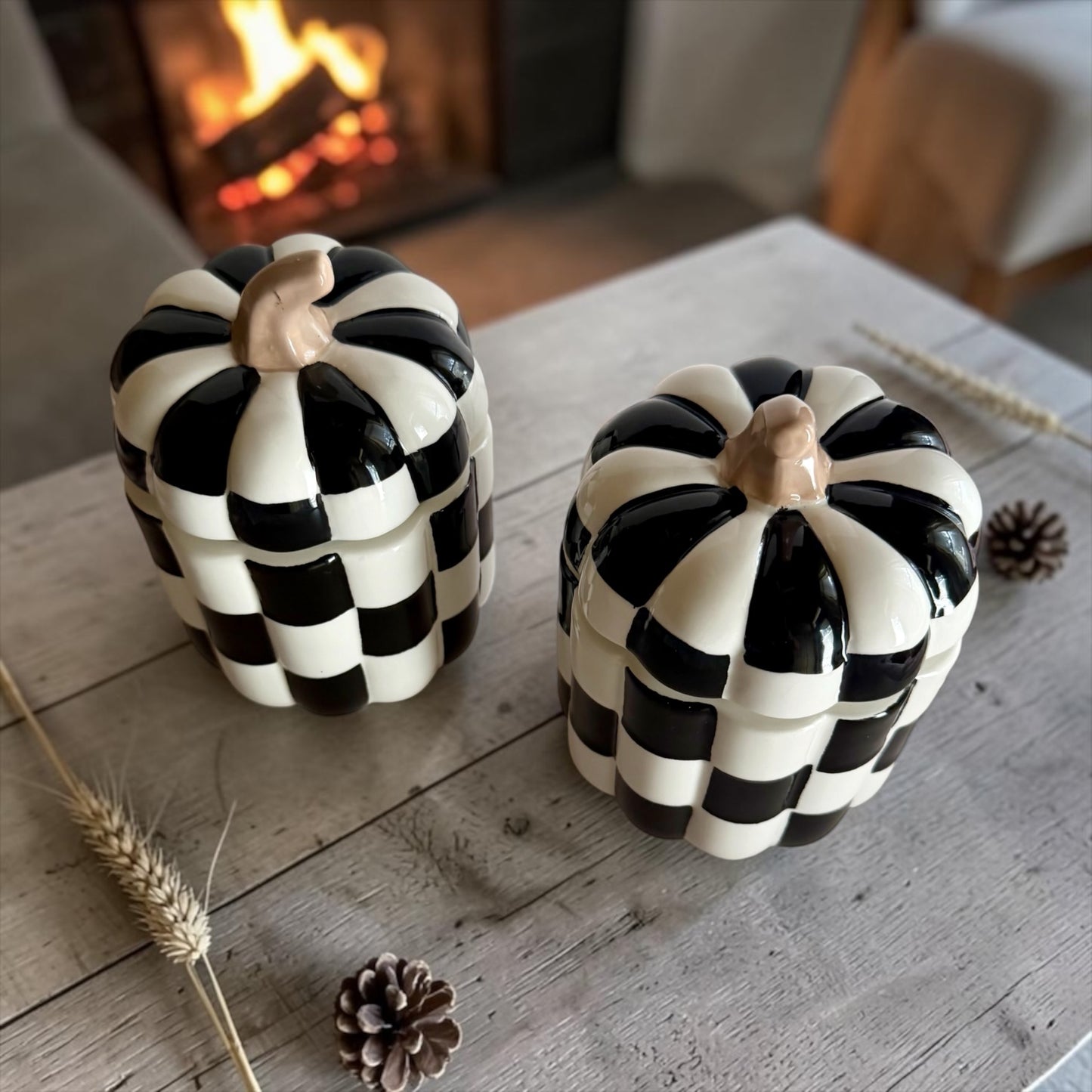 Pumpkin with lid “Black and white”