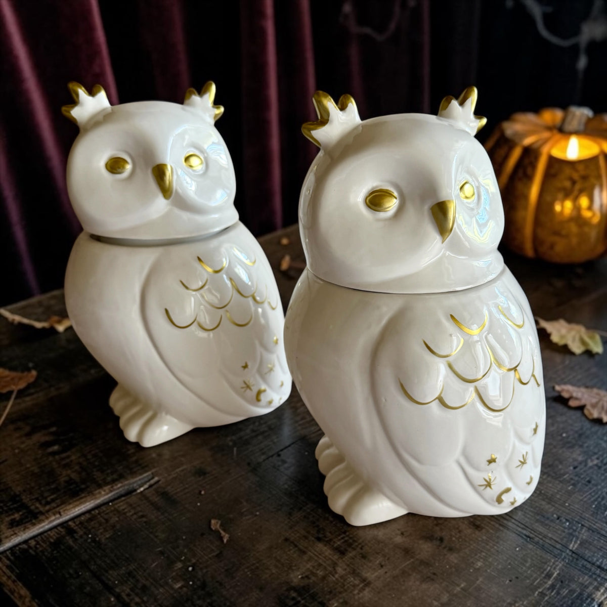 XL Owl with lid