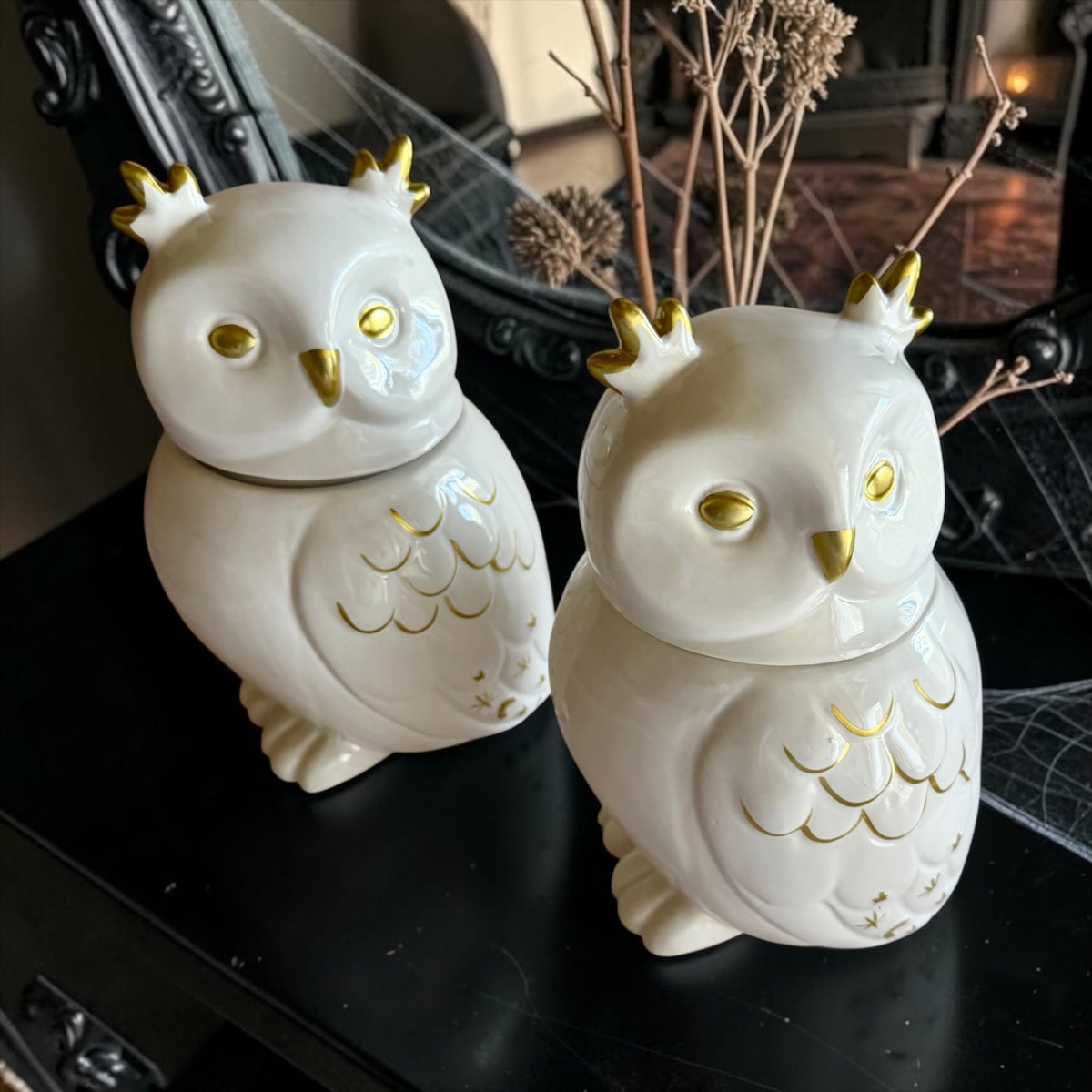 XL Owl with lid