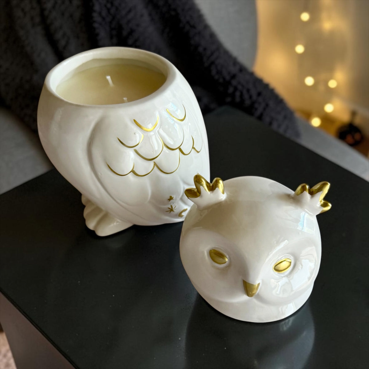XL Owl with lid