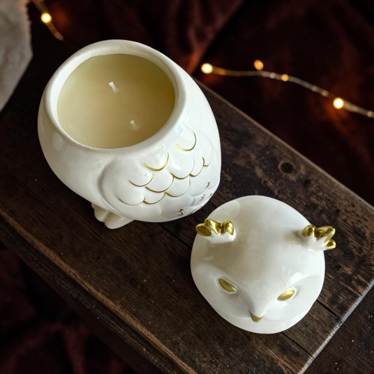 XL Owl with lid