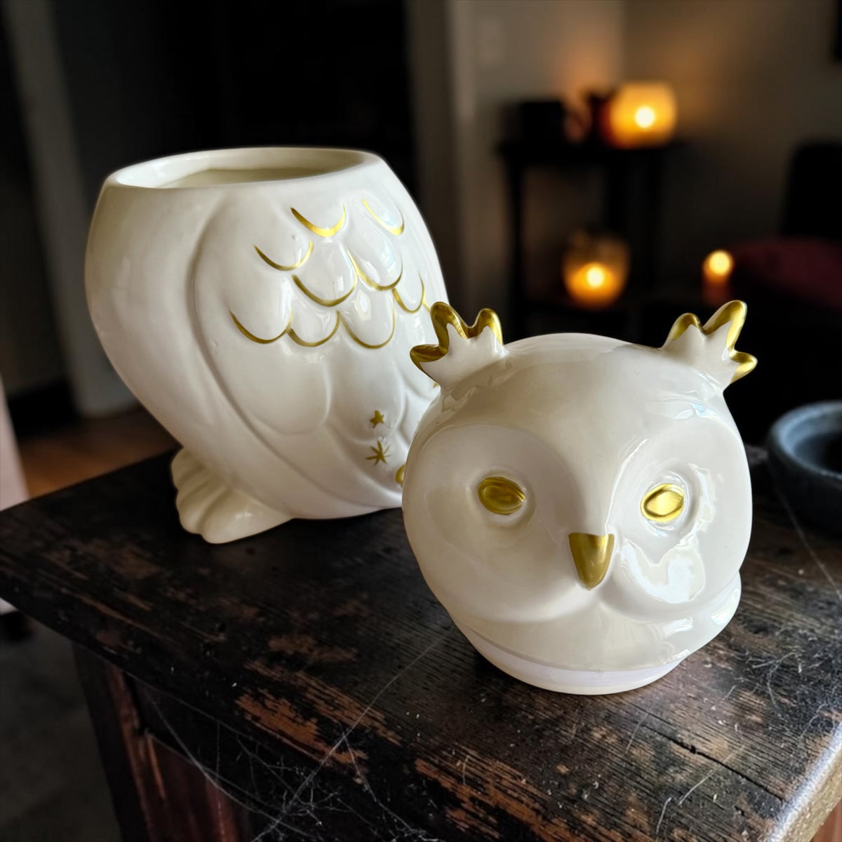 XL Owl with lid