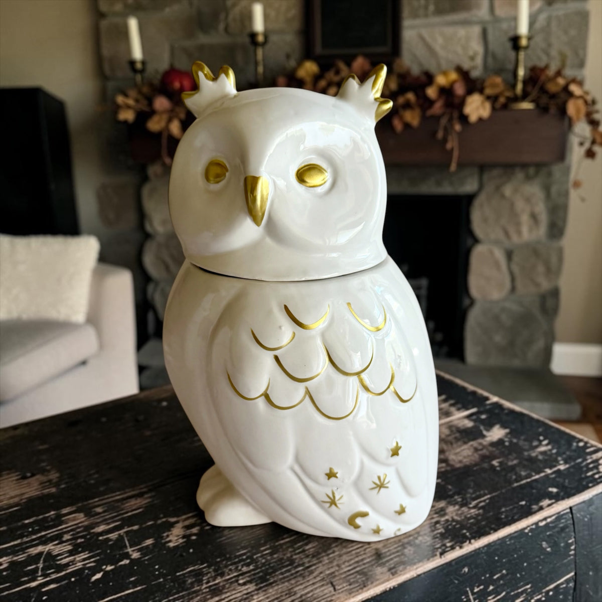 XL Owl with lid